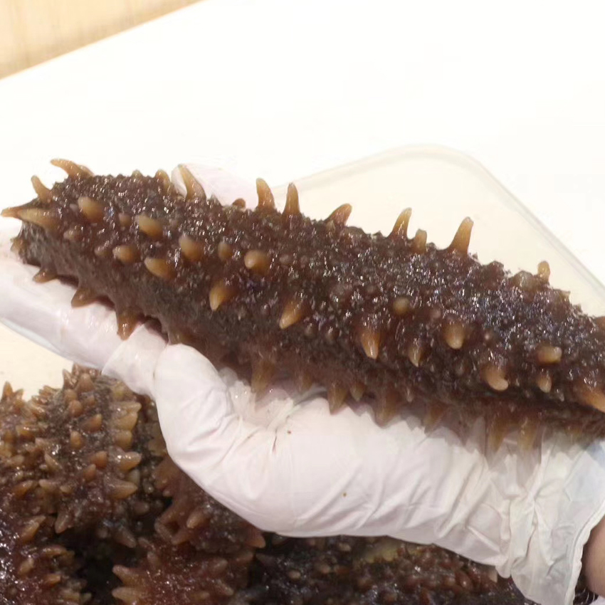 即食海参的多样食用方法及营养指南